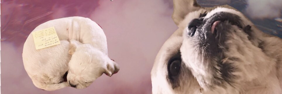 btnhc's profile banner image