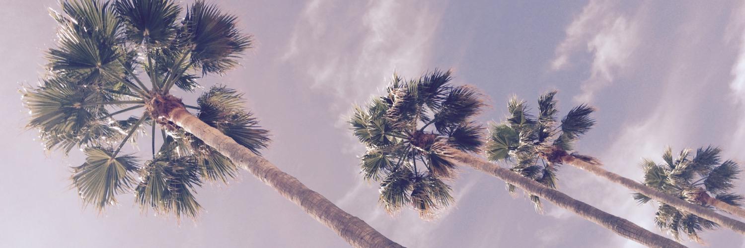NeleVermeire's profile banner image