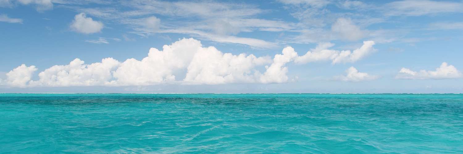 BlokChainBrain's profile banner image