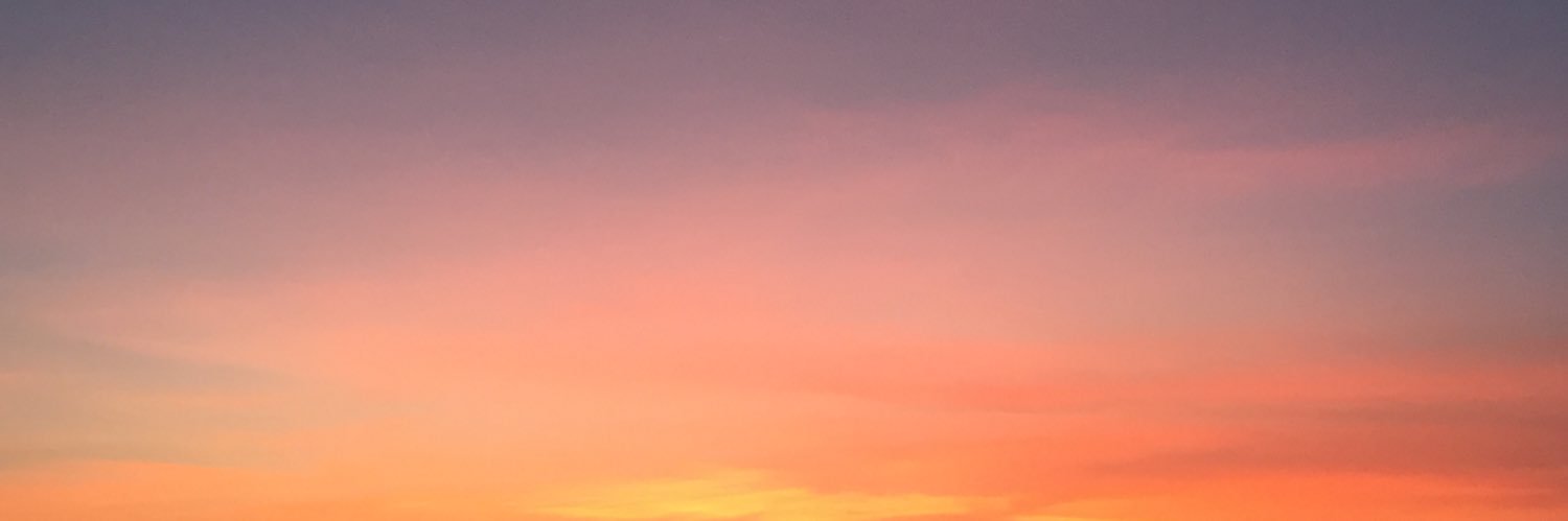 vidyanatasya's profile banner image