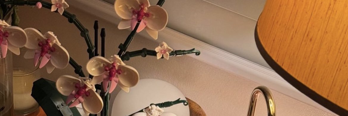 farafinn's profile banner image