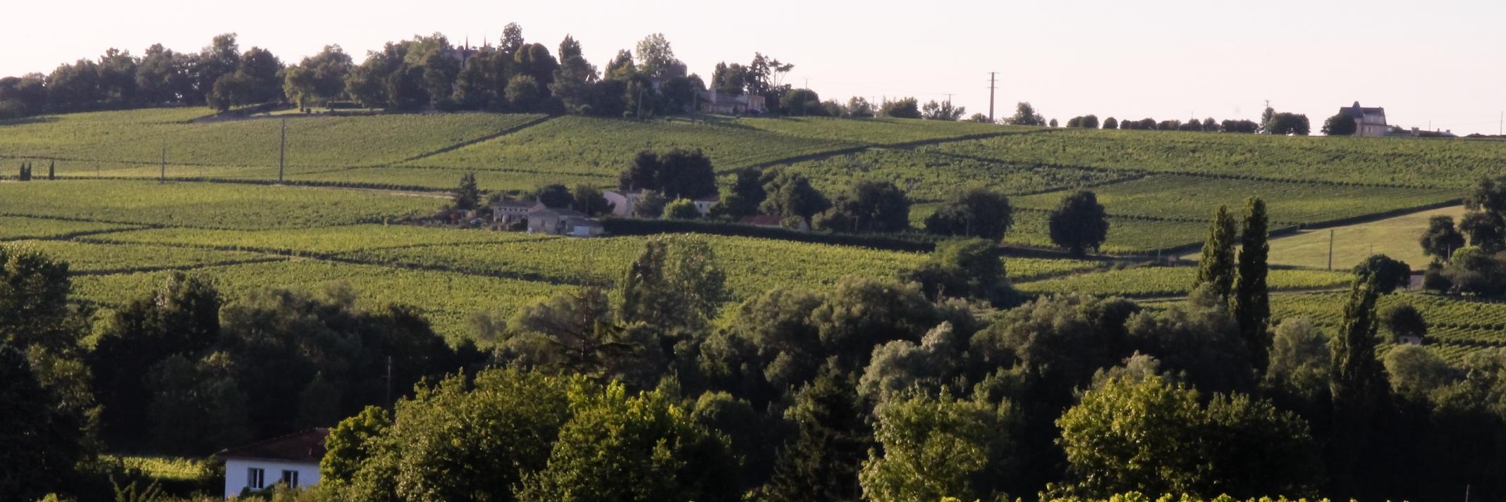 cotes2bordeaux's profile banner image
