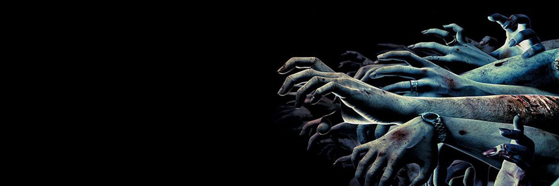 pampolinineto's profile banner image