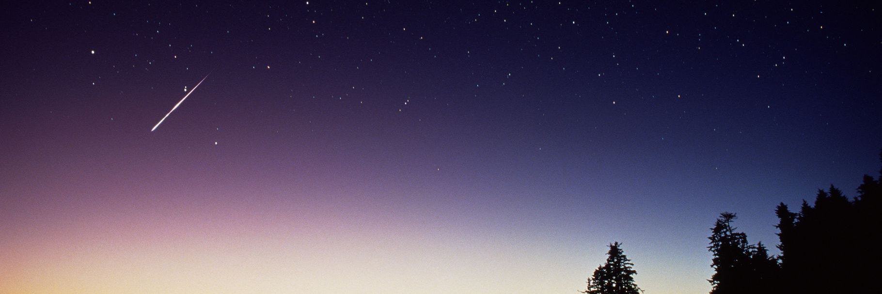 bebella's profile banner image