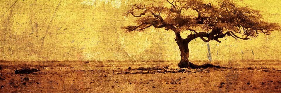 jcroody's profile banner image