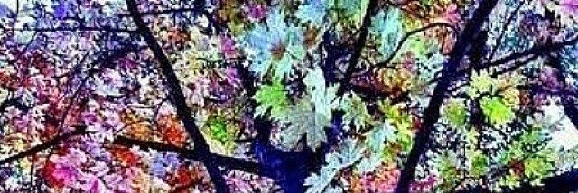 AleSambrano's profile banner image