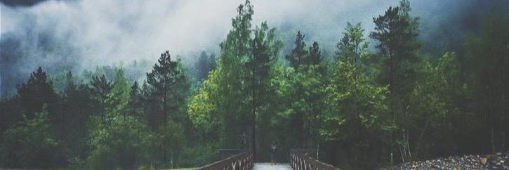 capricornalysh's profile banner image