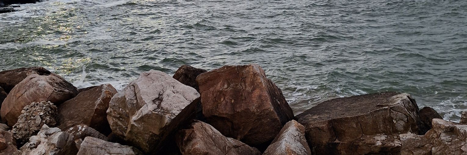 Pato_Donald13's profile banner image