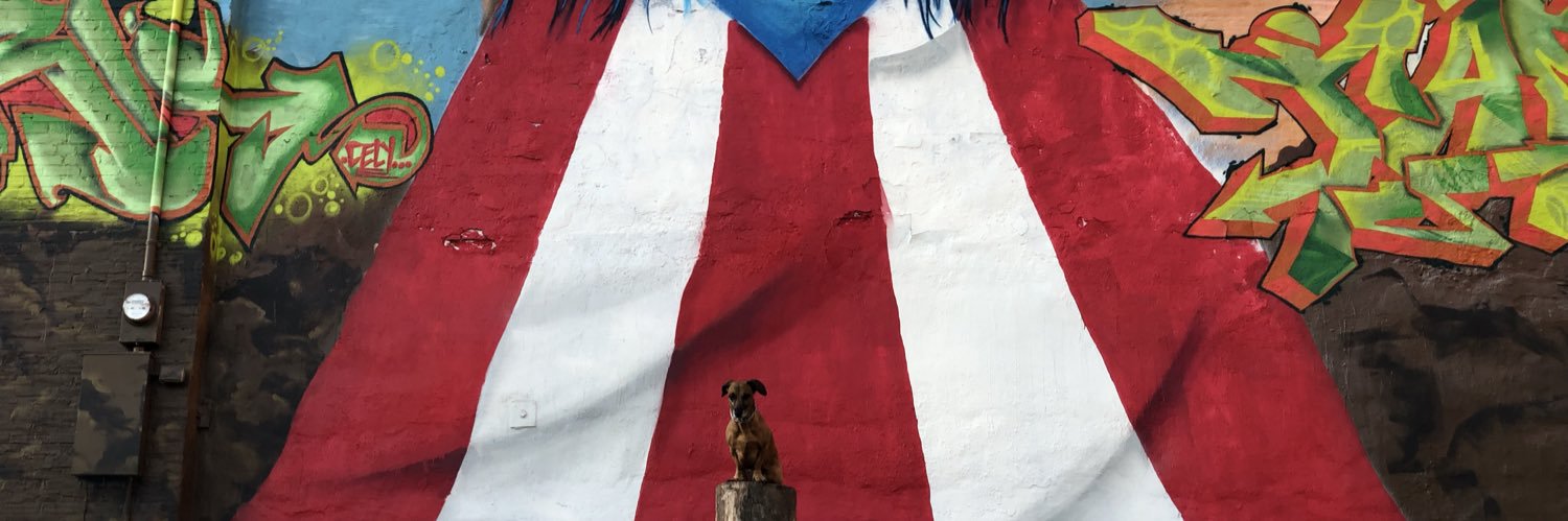 Jack. banner