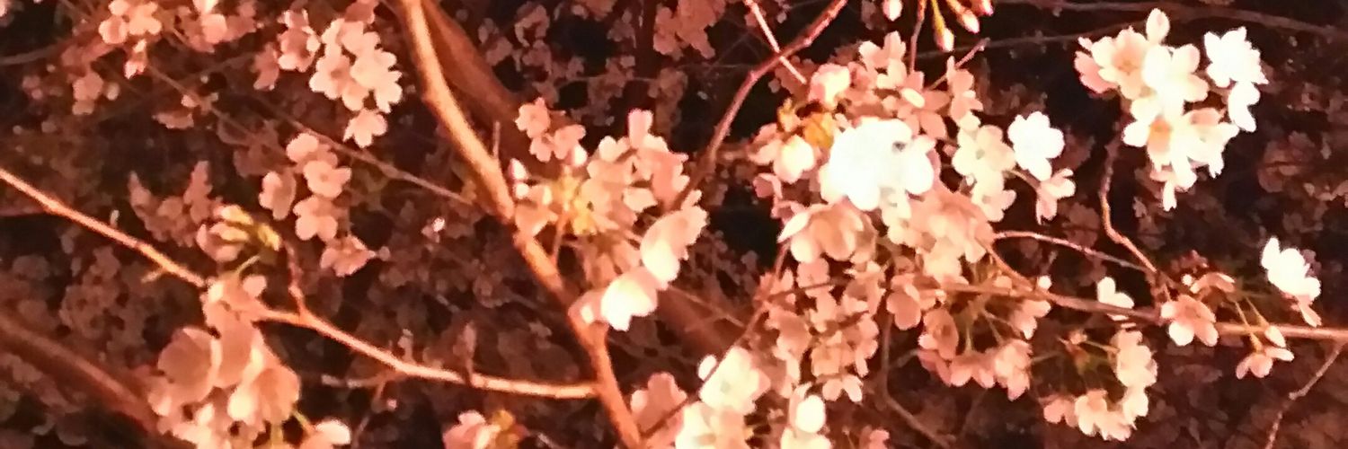 EuroRyan's profile banner image