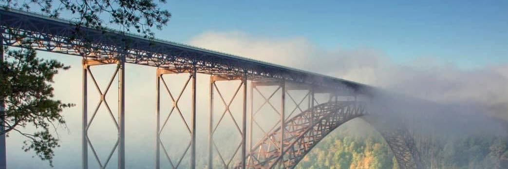 Steve McElroy banner