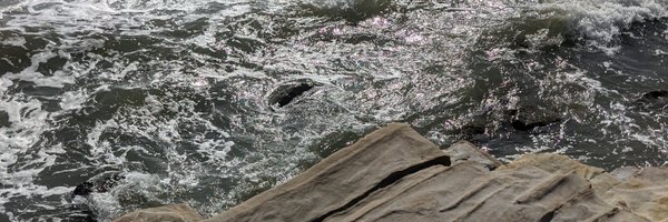 arihersh Profile Banner