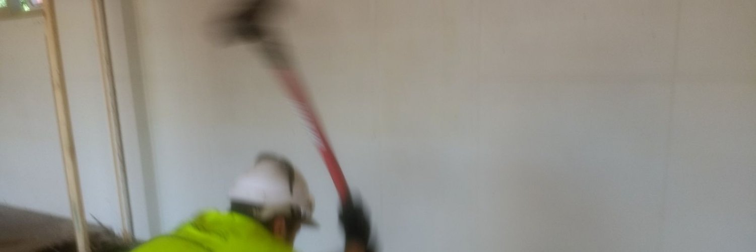 Mauro Falavigna banner