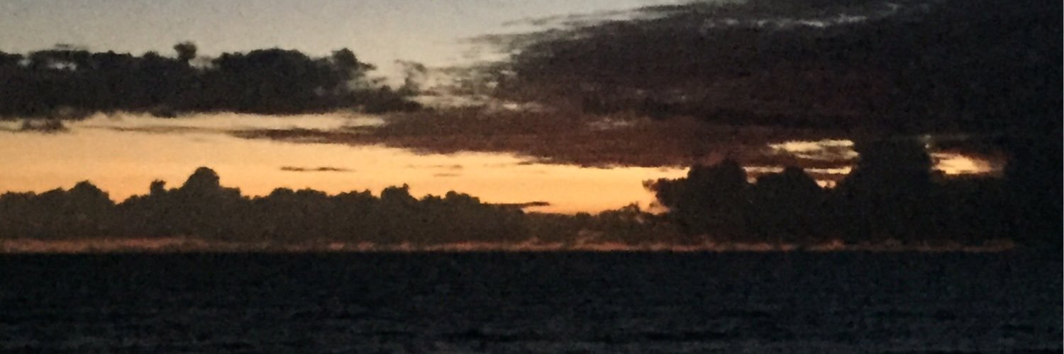SueThe7's profile banner image