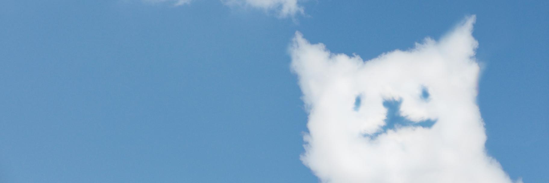 inaba_'s profile banner image