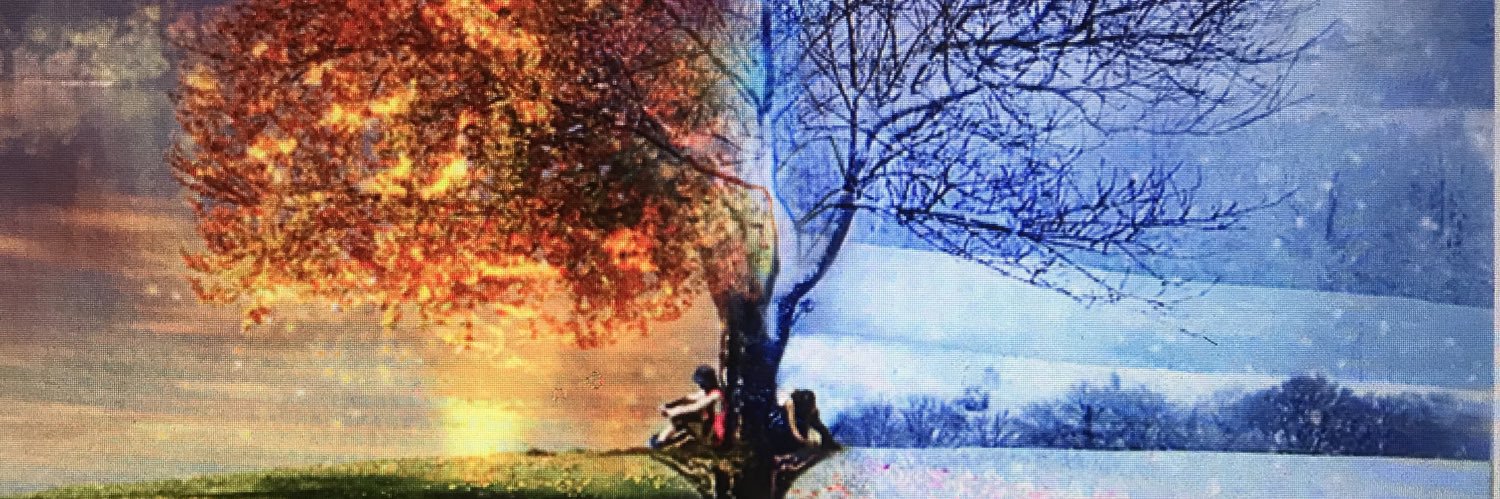 Scottpoiley's profile banner image