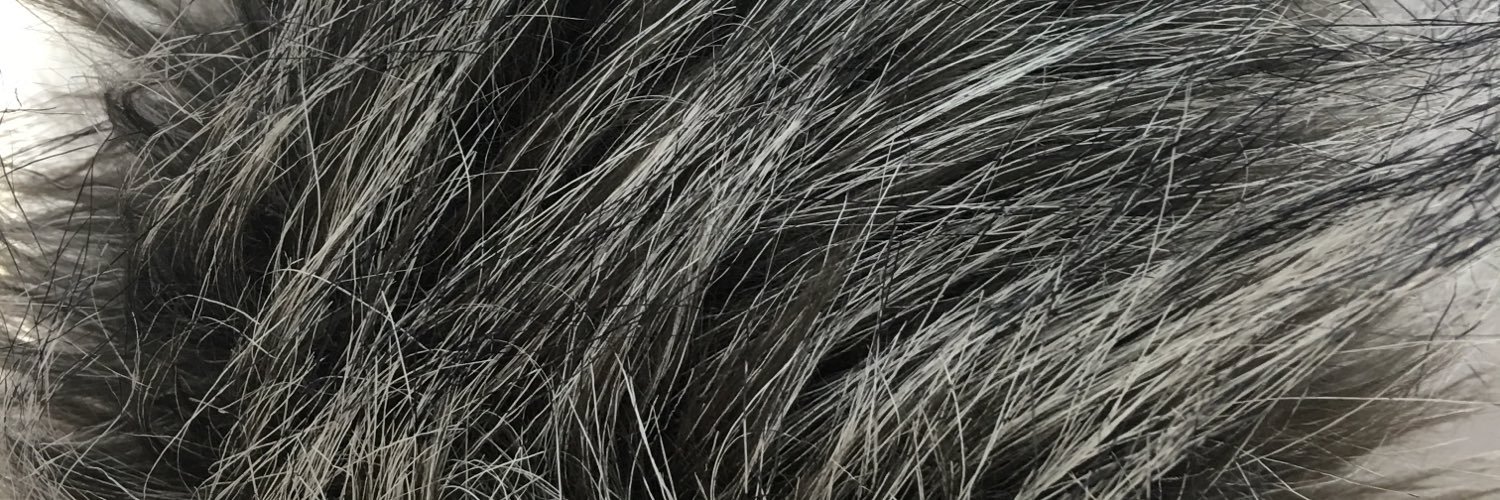 frozenmonotone's profile banner image