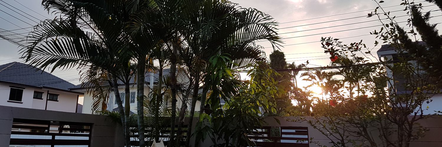 chanintana's profile banner image