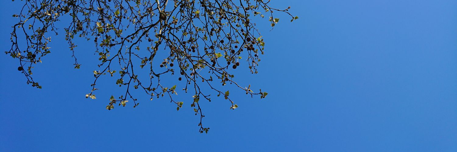 floriansohler's profile banner image