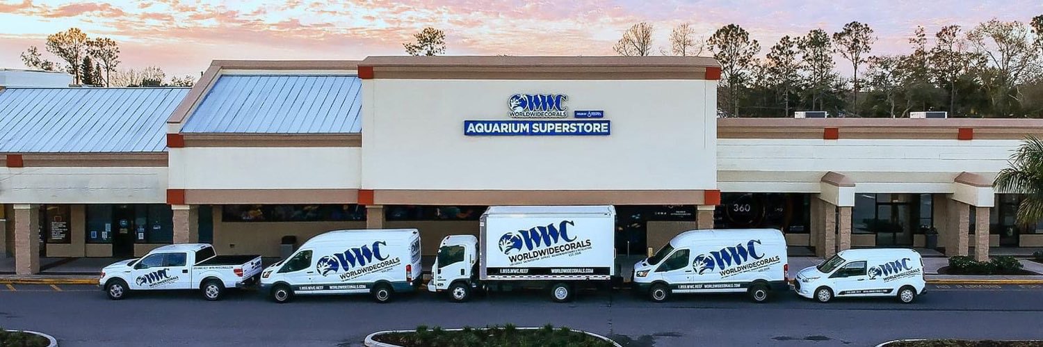 World Wide Corals banner