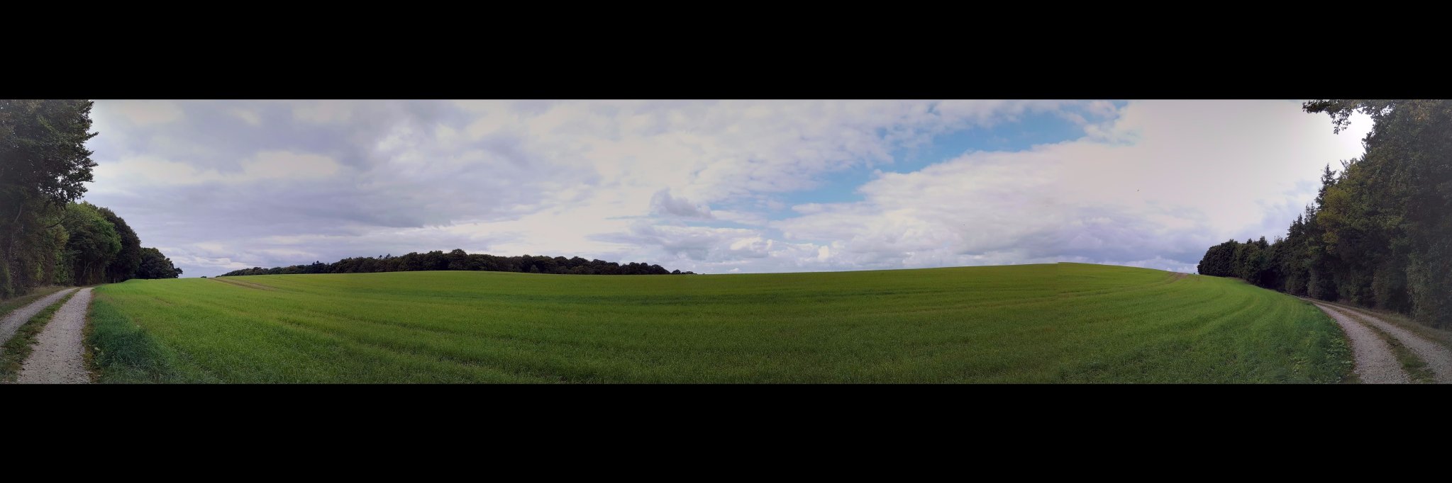 Franco Soldera banner