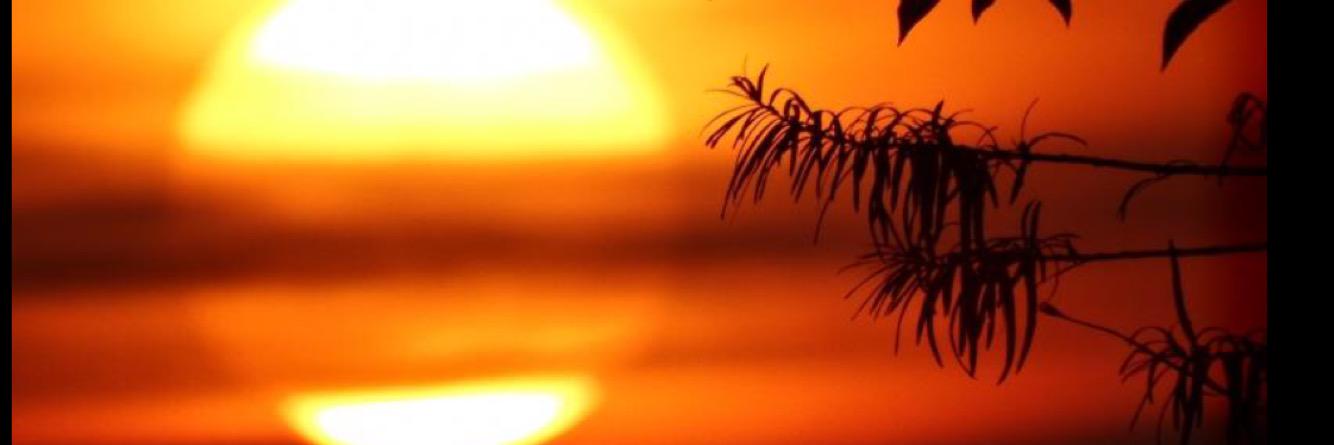 nayifraymond's profile banner image