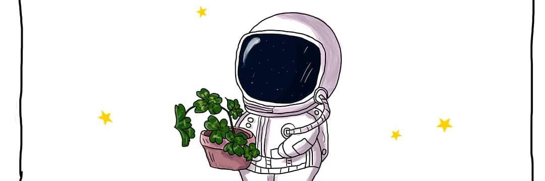 kismet_snake's profile banner image