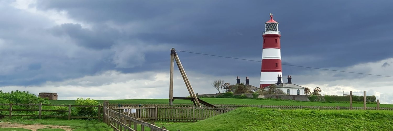 Daniele Fisichella banner