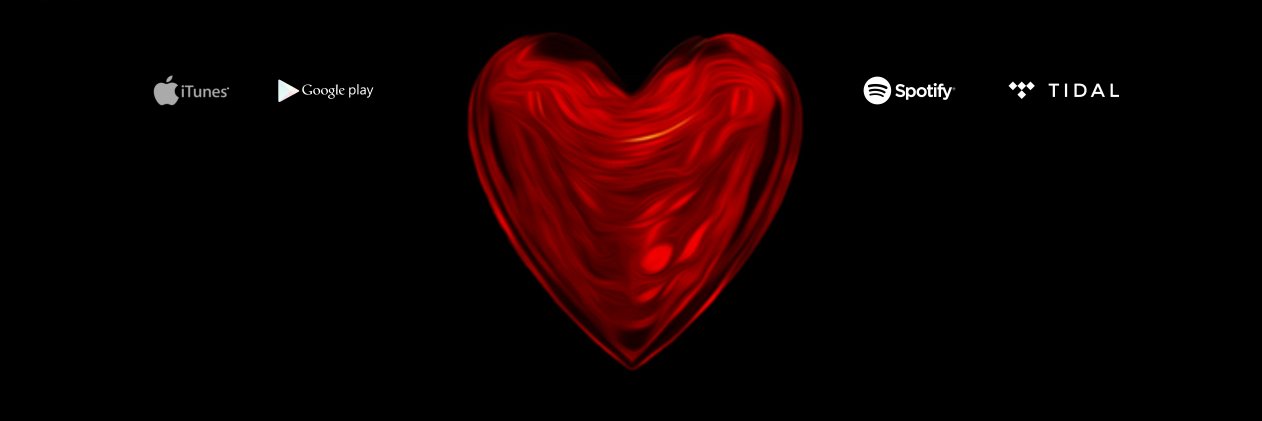 Kovasciar Myvette banner