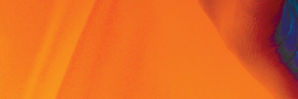 FrancoisMorice's profile banner image