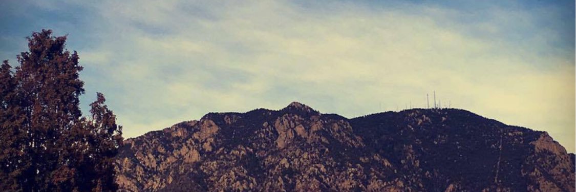 morganmprince's profile banner image