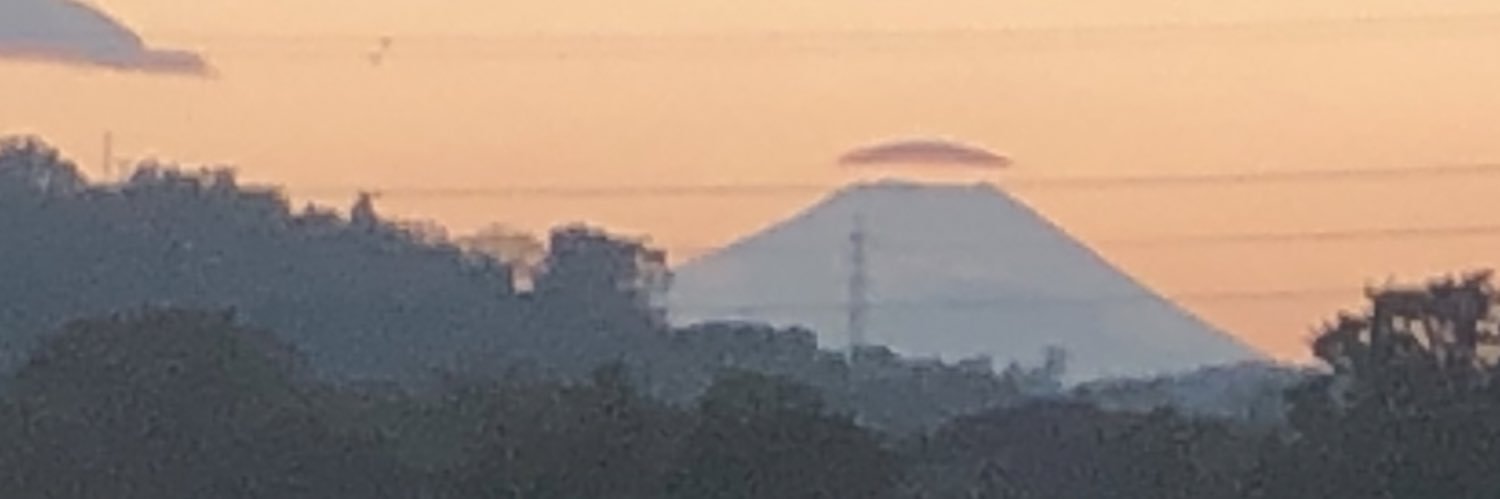 INTP🍔고양이 키우는 정쌤 banner