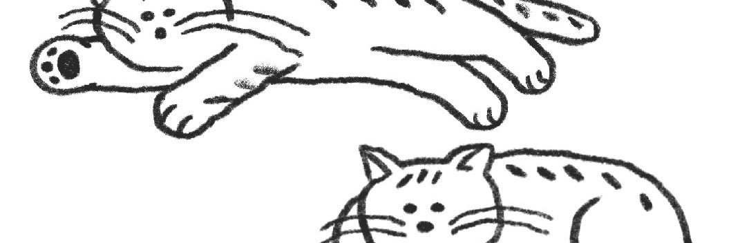 nerohi's profile banner image