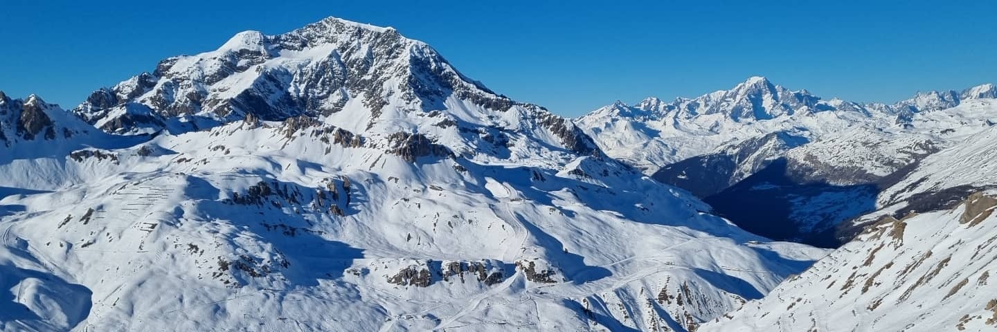 Dr Cress 🪩 🇵🇸 banner