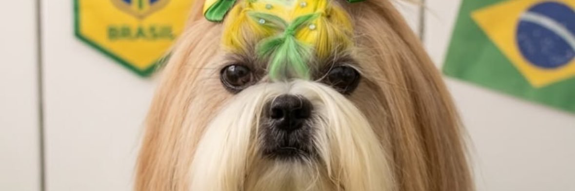heybtrz's profile banner image