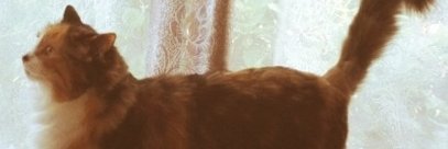 orla41's profile banner image