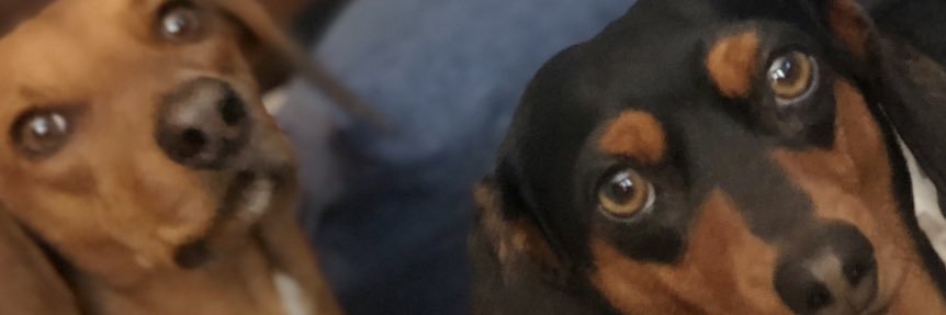 Rahooligan_'s profile banner image