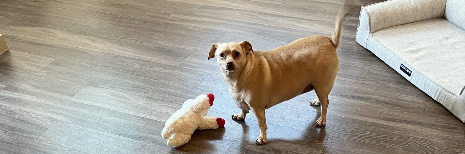 Douglas Bailey banner