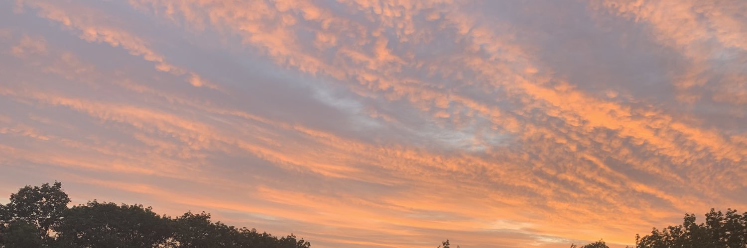 karlyjo19's profile banner image