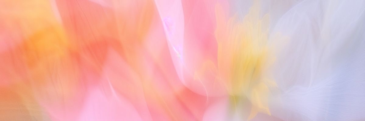 vdgfvdgf's profile banner image