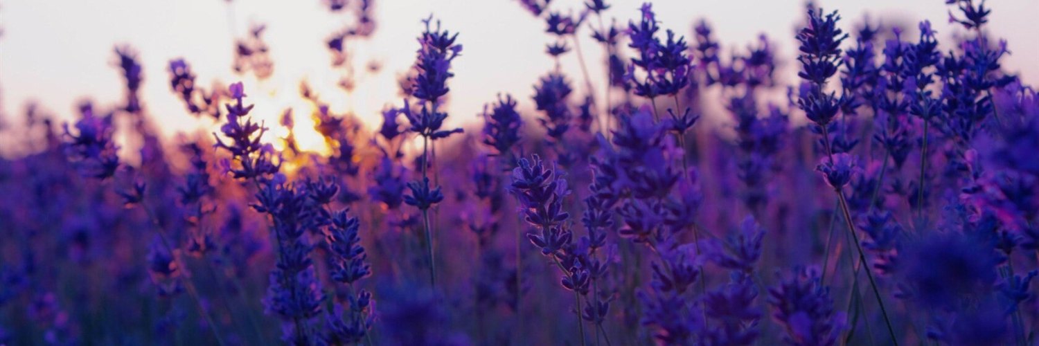 BeCoolington's profile banner image