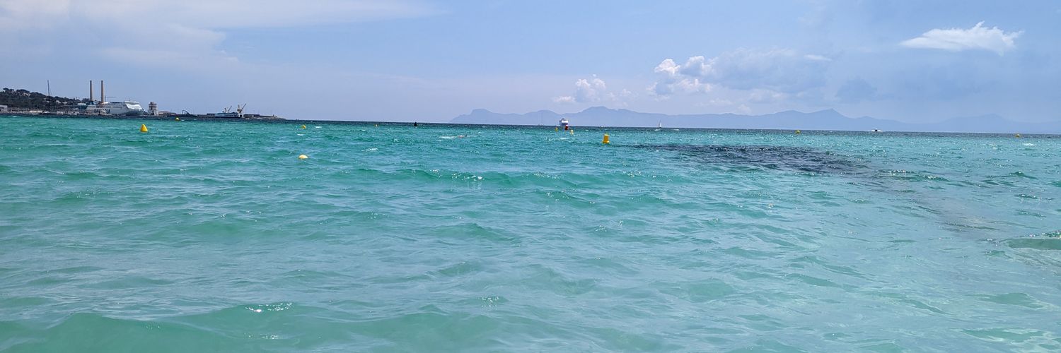 Random Robbie banner