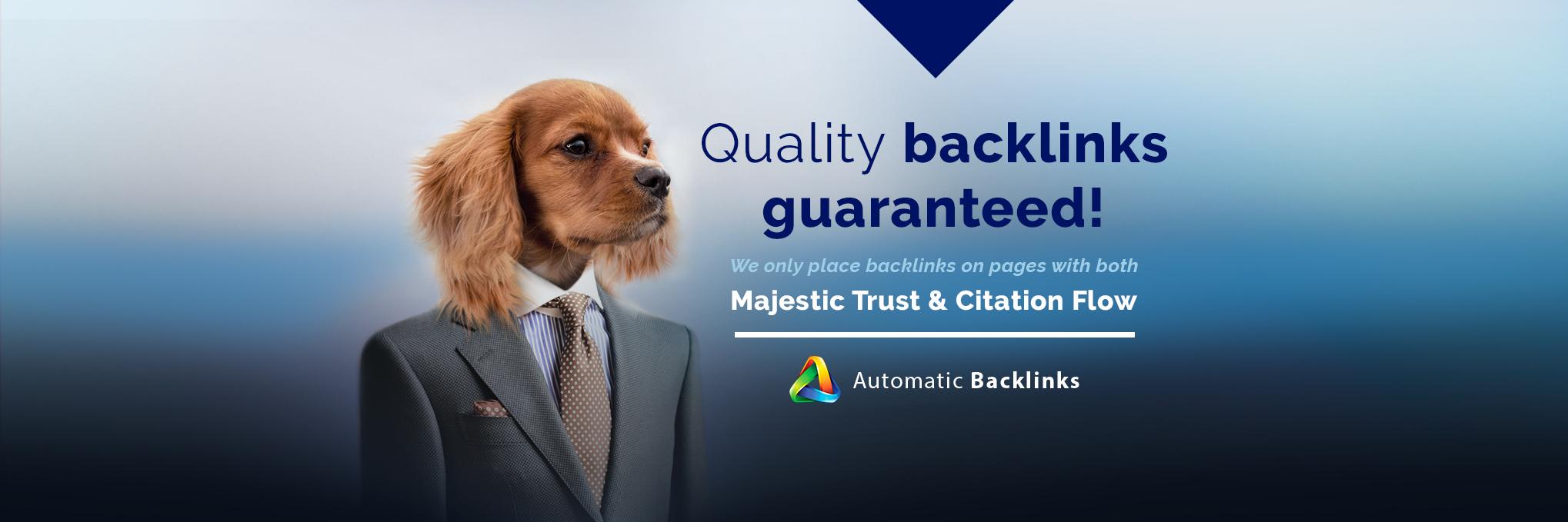 AutoBacklinks's profile banner image