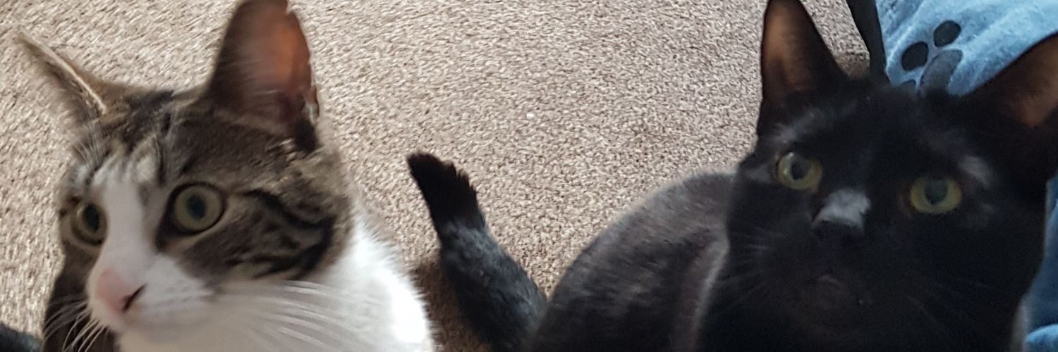 gemmahumes's profile banner image