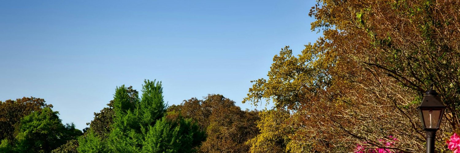 loversuritas's profile banner image