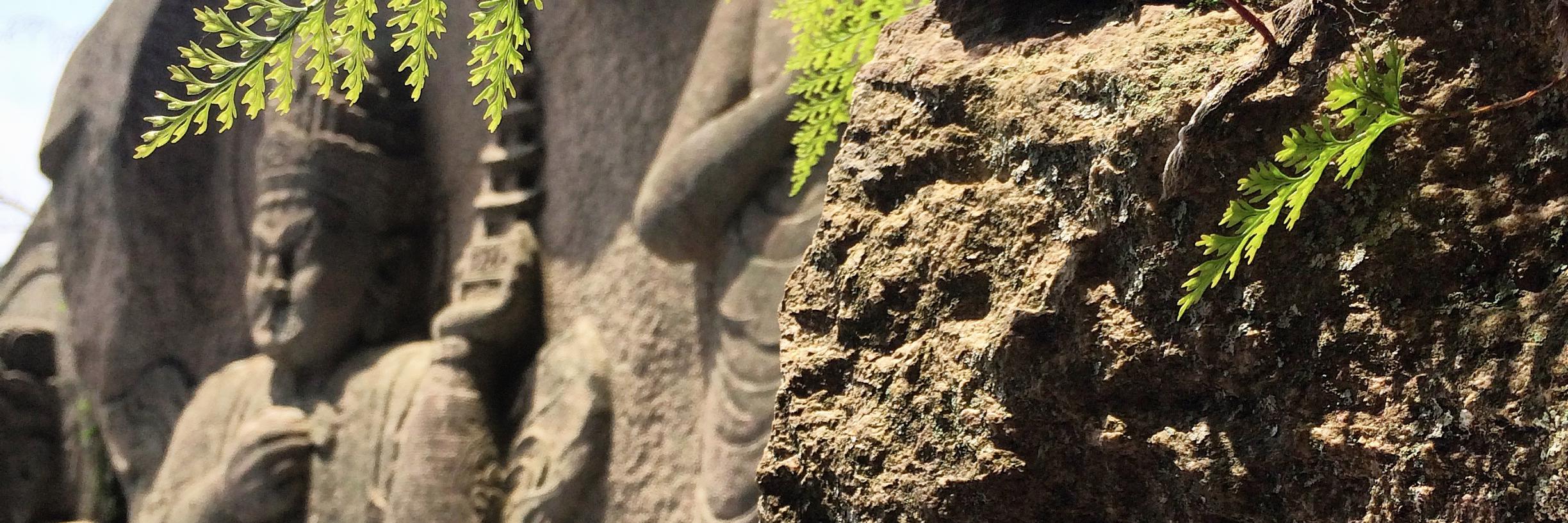 JJ Akin (he/him) banner