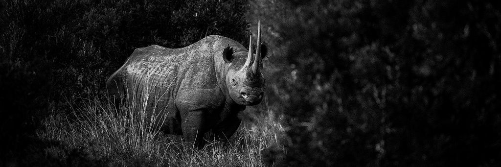 📸 Mitchell Krog 🇿🇦 banner