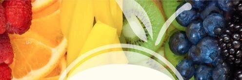 berryblendz's profile banner image