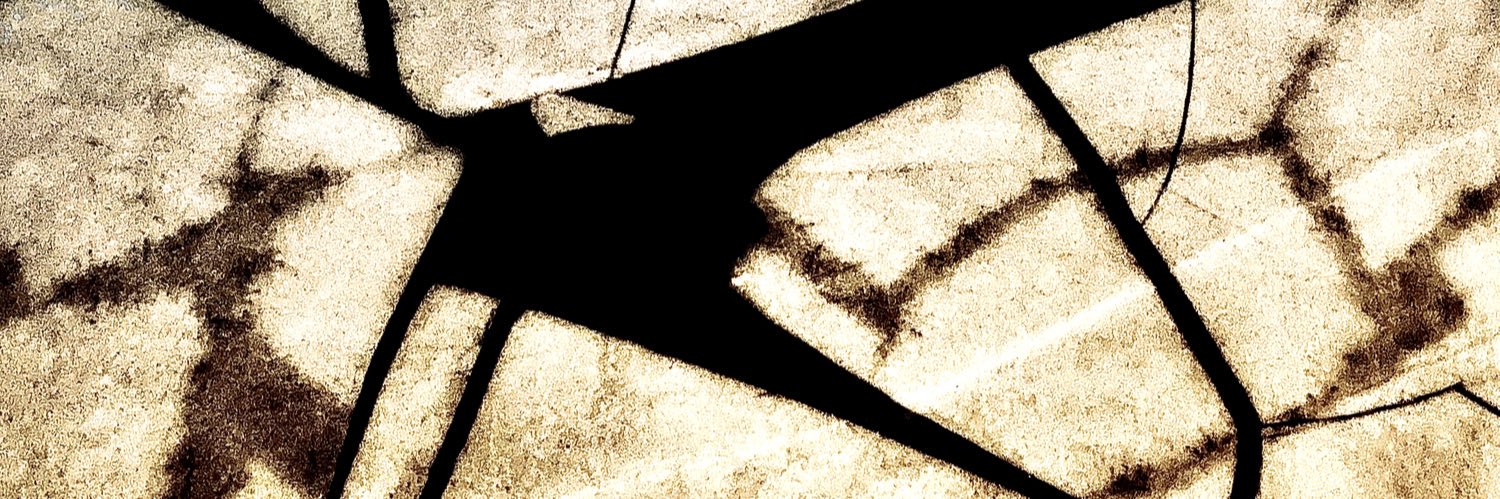 NikGu's profile banner image