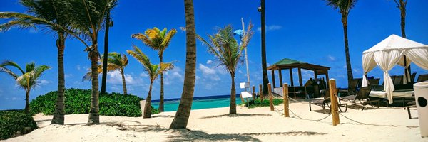 901McLaughlin Profile Banner